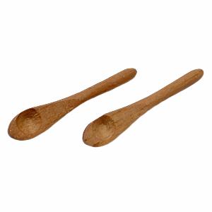 Set of 2 Wooden Spoons