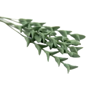 Set of 6 Leaf Sprays