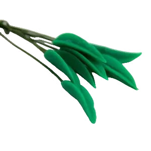 Leaf Set of 12