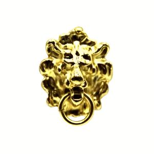 Polished Lion Knocker