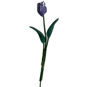 Purple Tulip