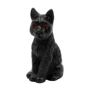 Black Cat