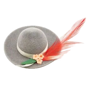 Grey hat with Feather