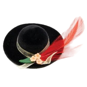 Black Hat with Feather