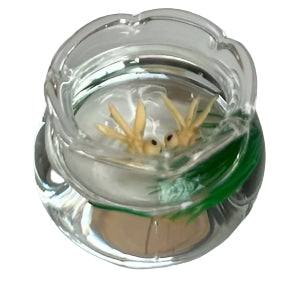 White Fish in Bowl