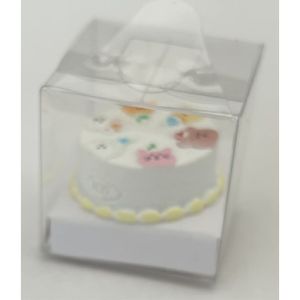 Cake in a Cake Box