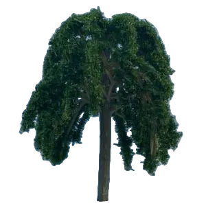 Hanging Tree Dark Green 6cm