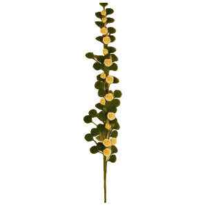 Trellis Climbing Plant Yellow Rose
