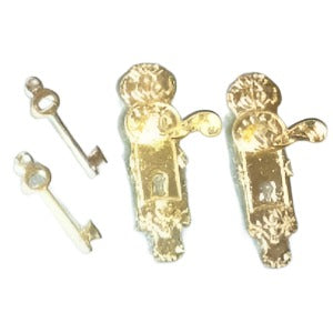 Door Handles On A Fancy Key Plate