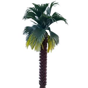 Palm Tree Plastic