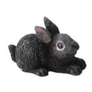 Black Rabbit