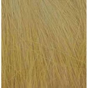 Field Grass Harvest Gold