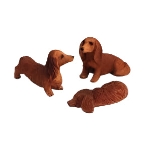 Brown Smooth Haired Daschund pk 3