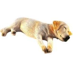 Ben The Sleepy Labrador