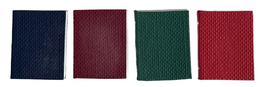 Set of 4 Blank Books