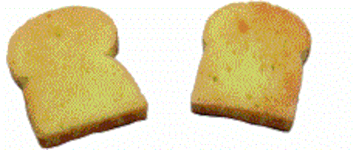 Toast 2pcs