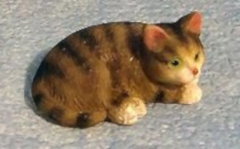 Tabby Cat
