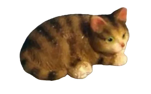 Tabby Cat