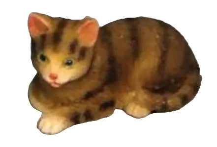 Tabby Cat