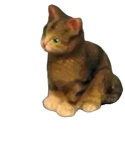 Tabby Cat