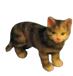 Tabby Cat