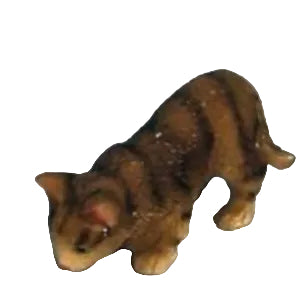Tabby Cat