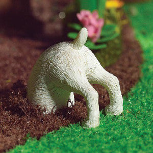 Dexter The Digging Dog