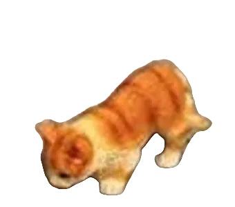 Ginger & White Cat