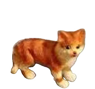 Ginger & White Cat