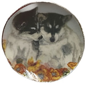 Puppy Plate