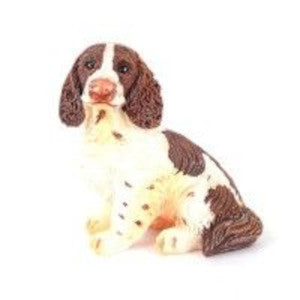 Sitting Springer Spaniel