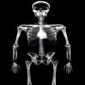Skeleton X Ray