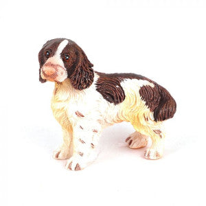 Standing Springer Spaniel