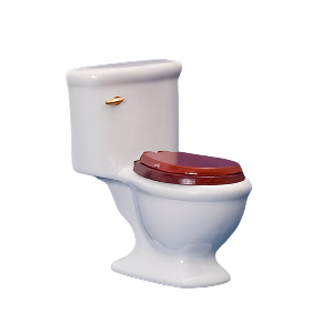 Toilet, White