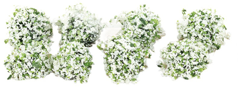 White Border Plants 8pcs