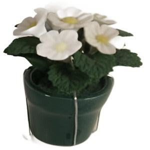 White Flowers In A green Pot