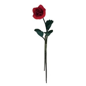 Single Red Rose