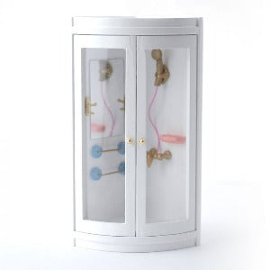 Modern Corner Shower Unit