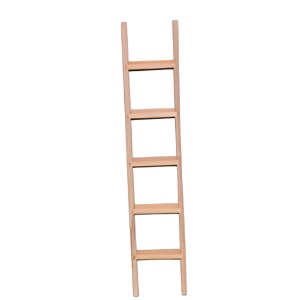 Ladder With Tread