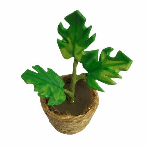 Plant in Rope Pot