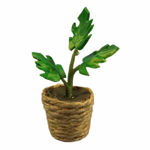 Plant in Rope Pot