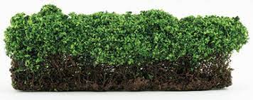 Green Hedge 1pc