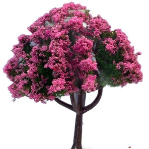 Tree With Pink Flowers