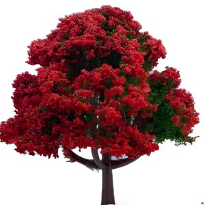 Tree With Red Flowers