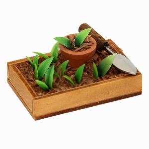 Box of Sprouting Seedlings