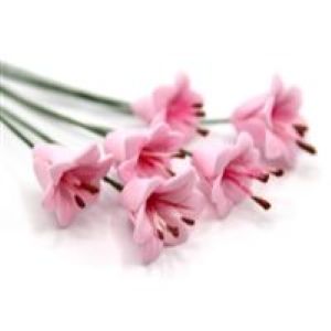 Single Lilies Pink Set of 6