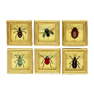 Beetle Prints 6pc