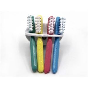 Toothbrush Holder & 4 Brushes