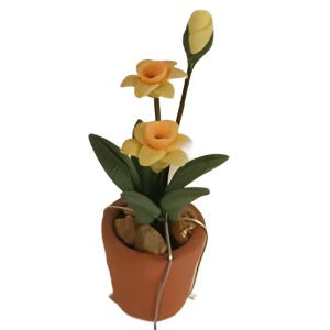 Daffodils in a Terracotta Pot