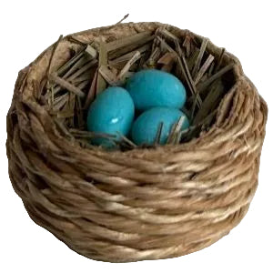 Birds Nest With Eggs